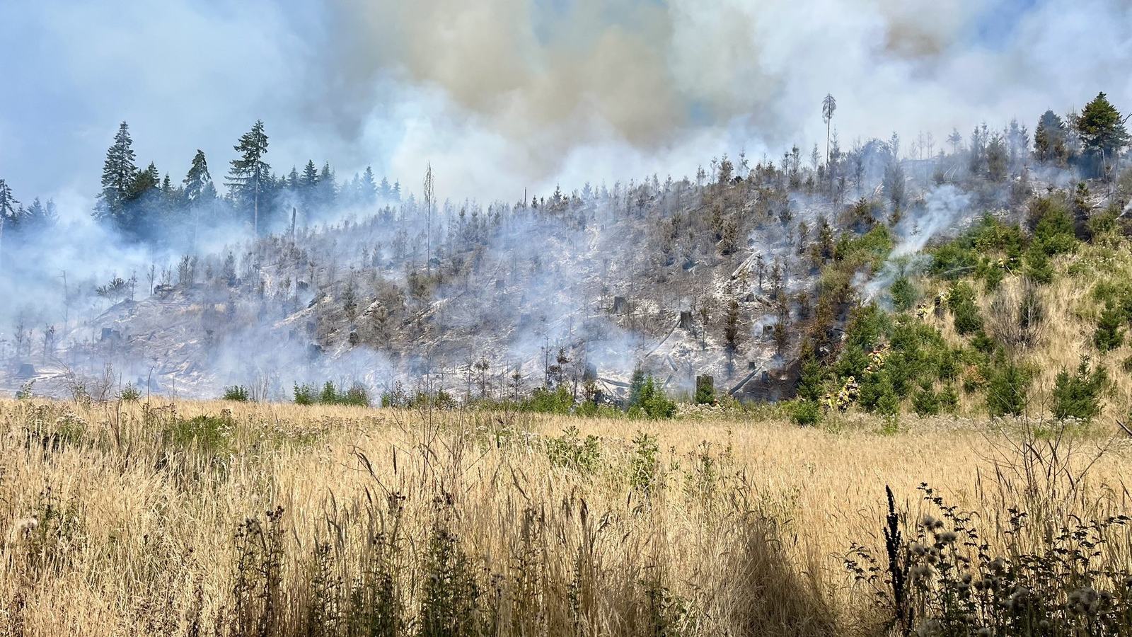 Lee Falls Fire, 2025