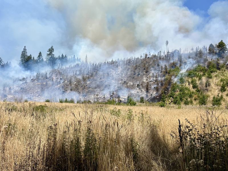 Lee Falls Fire, 2025