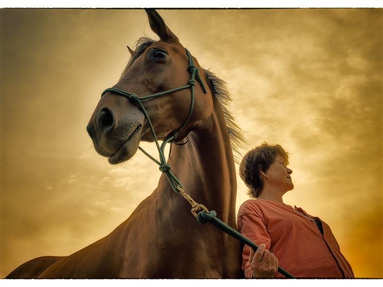 Dramatic image of a woman with a horse