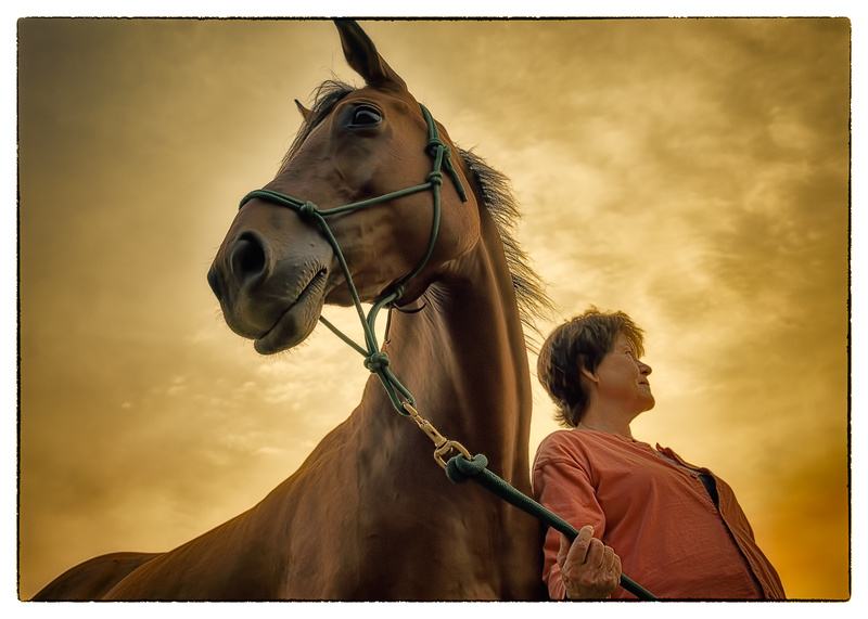 Dramatic image of a woman with a horse