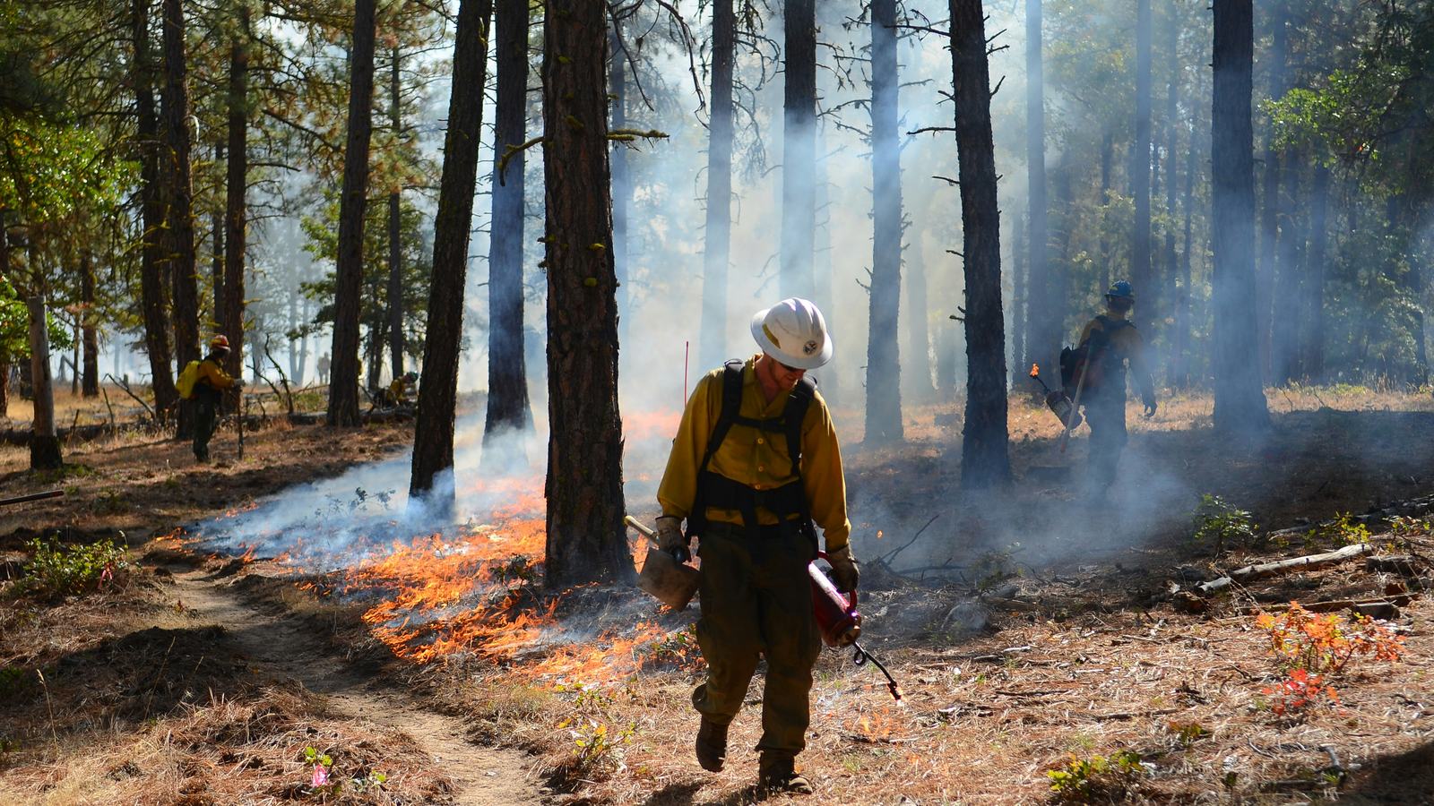 Firefighter creating a backburn