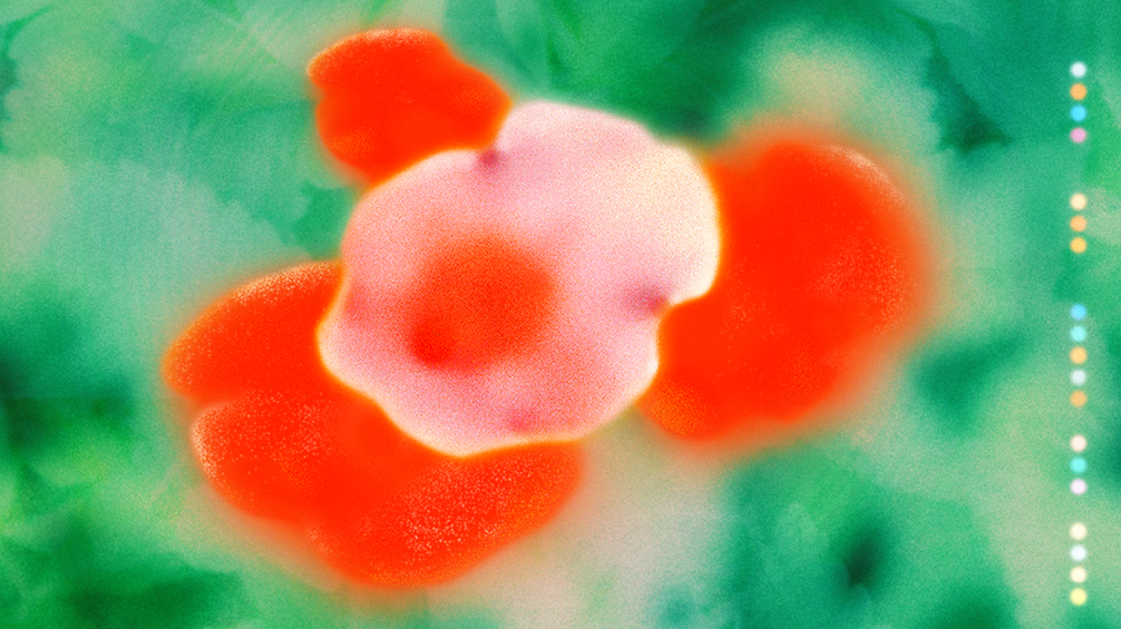 (Abstract image of a flower)