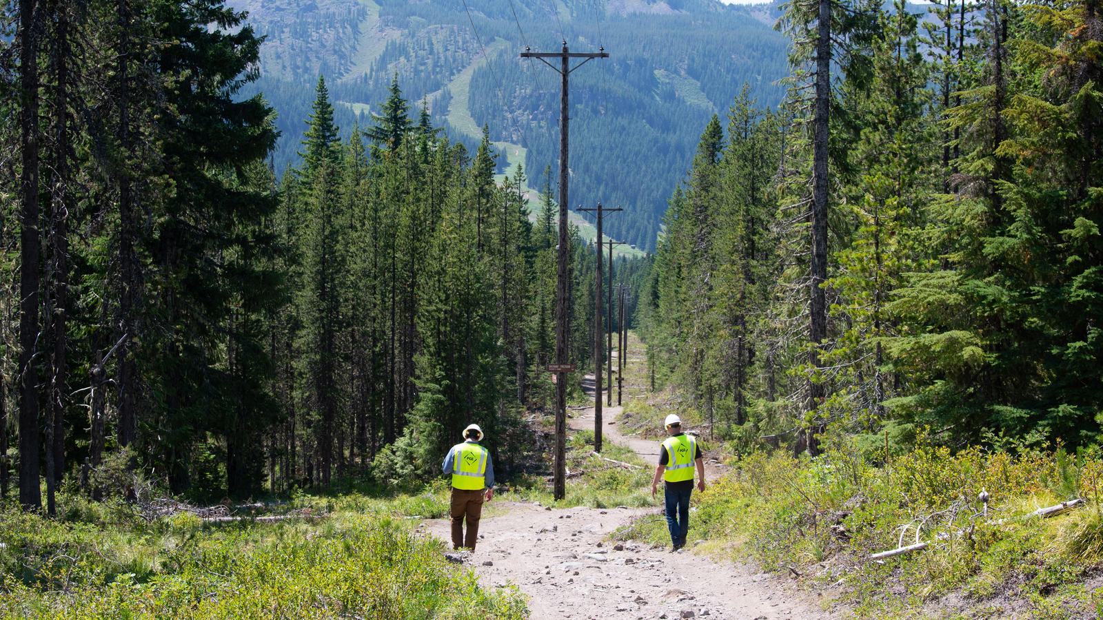 PGE workers walking down a forest road under a power line