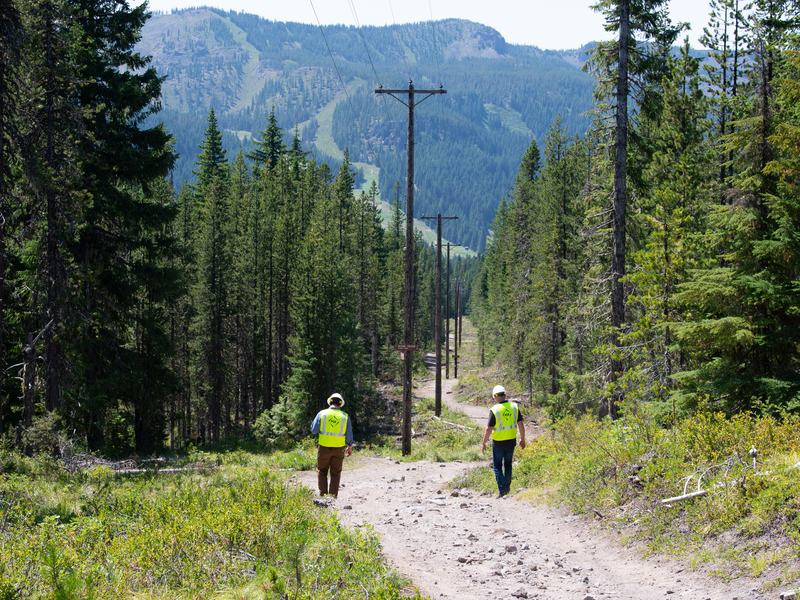 PGE workers walking down a forest road under a power line