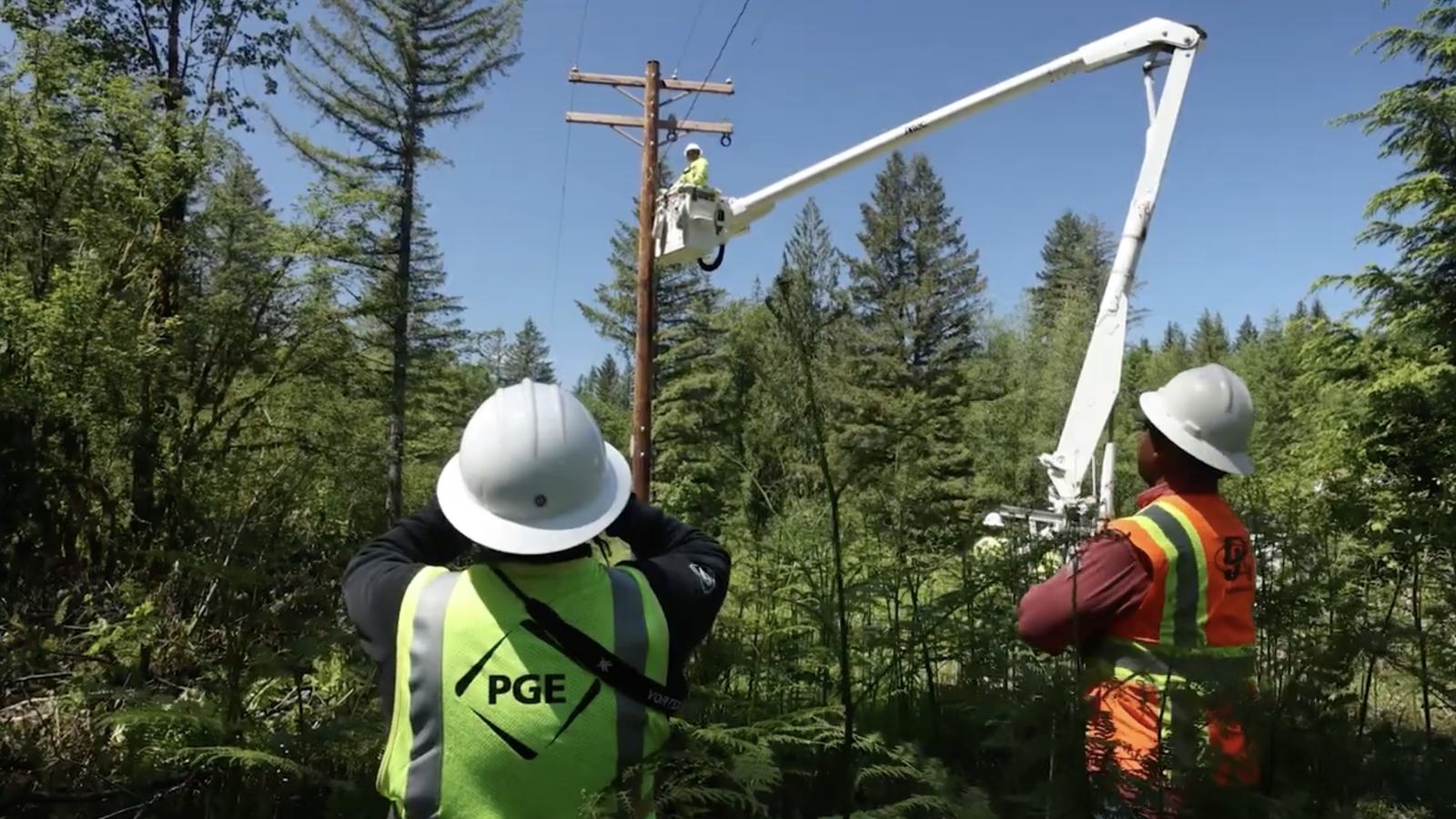 PGE crew working on a power line in a forest