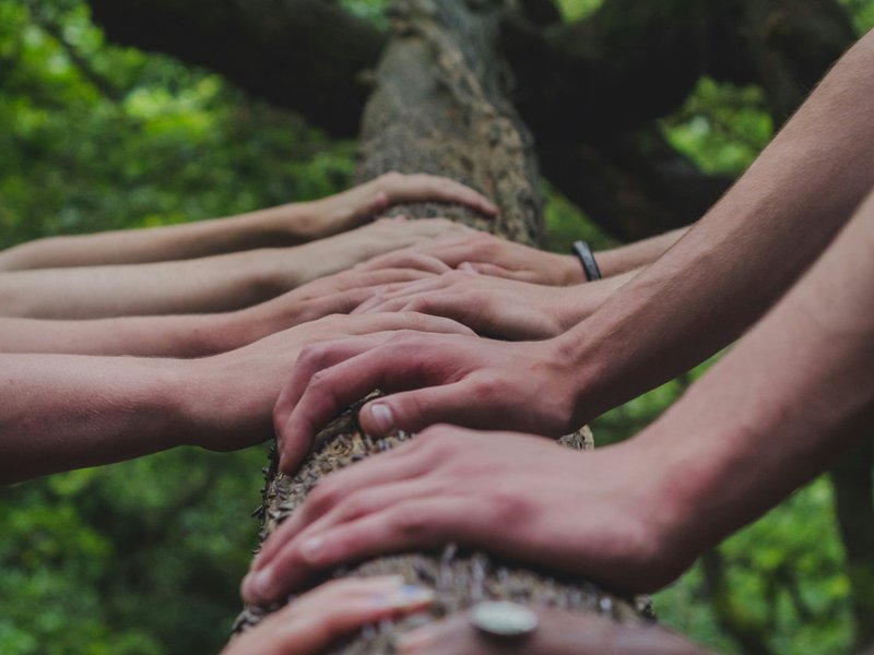 Hands together on the trunk of a small tree