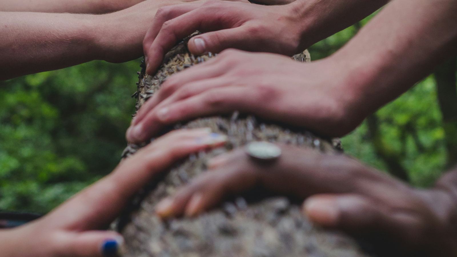 Hands together on the trunk of a small tree