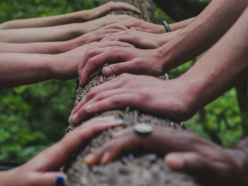 Hands together on the trunk of a small tree