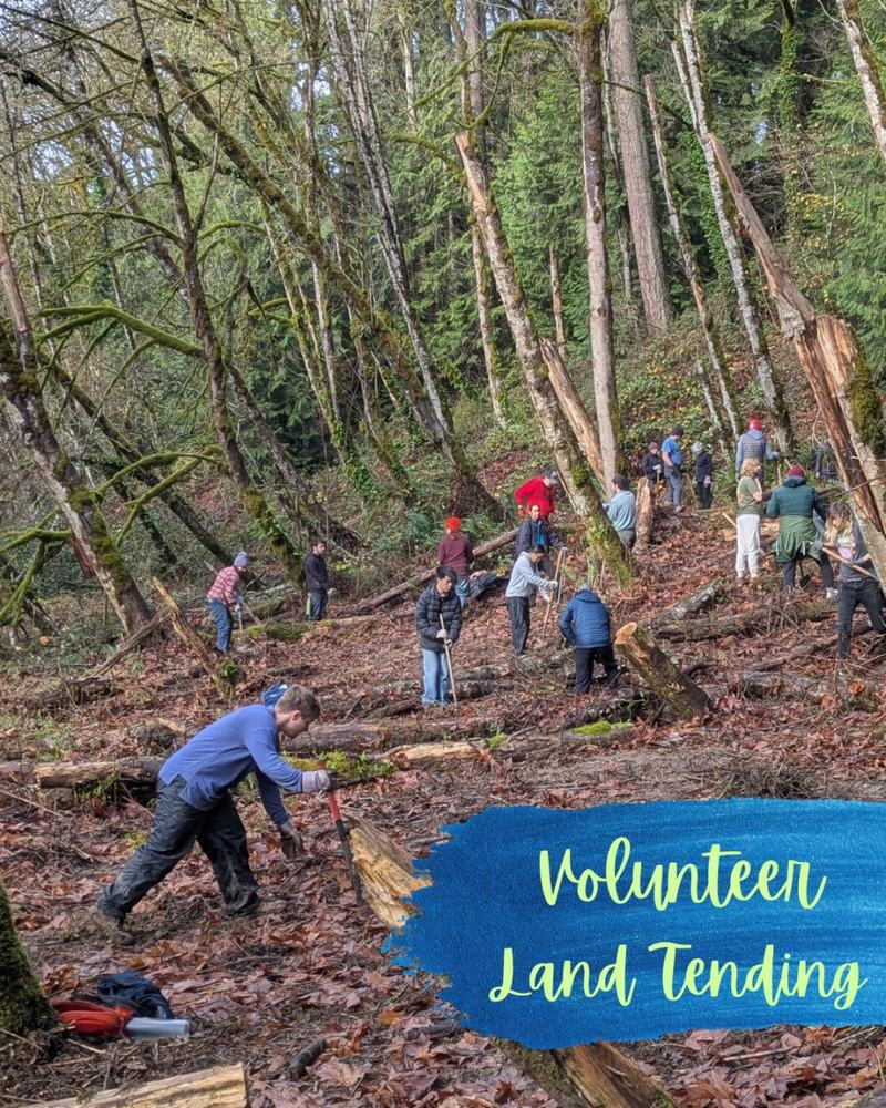 Friends of Tryon Creek: Volunteer Land Tending