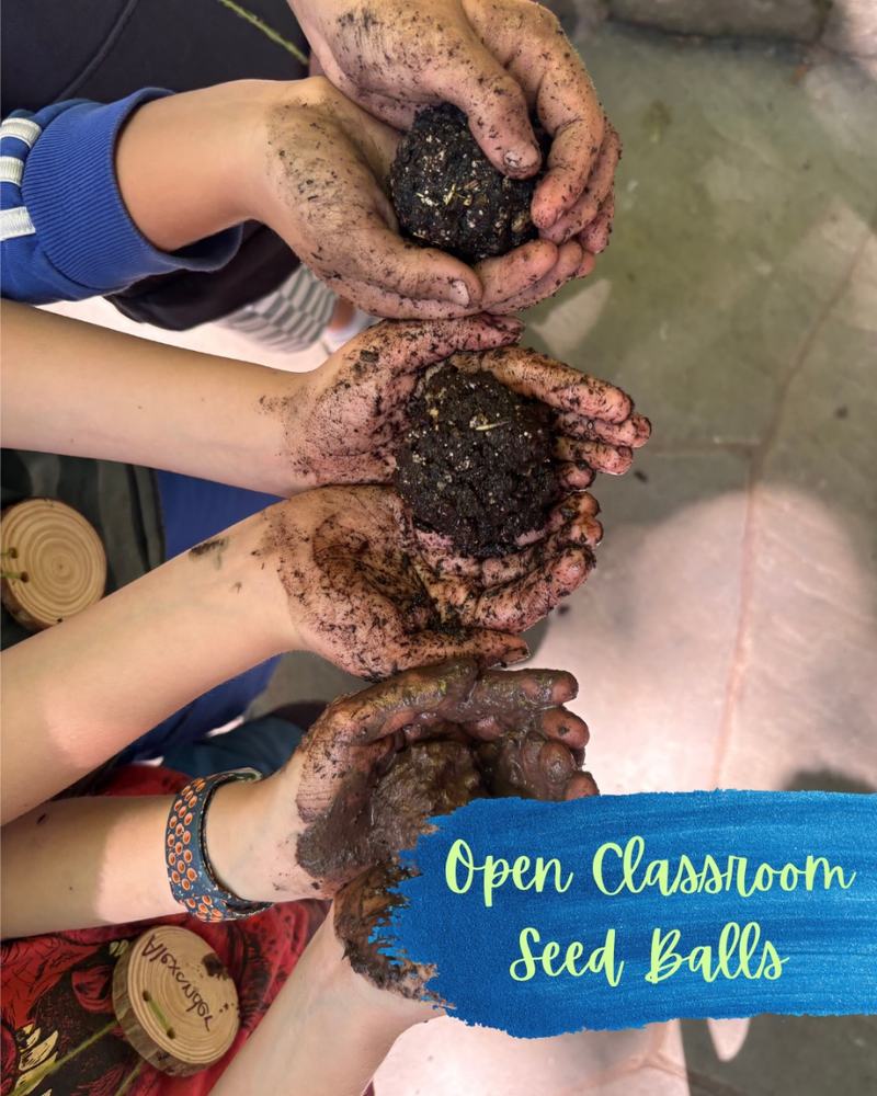 Friends of Tryon Creek: Open Classroom Seed Balls